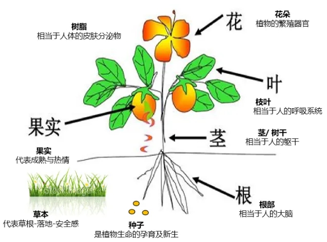微信圖片_20250515084733.jpg