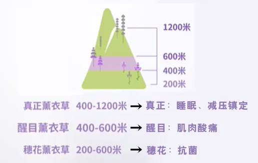 微信圖片_20250515084746.jpg